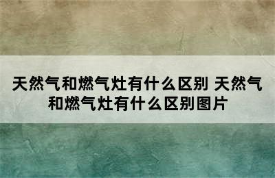 天然气和燃气灶有什么区别 天然气和燃气灶有什么区别图片